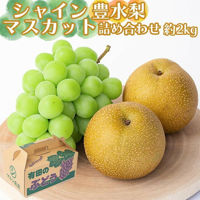 【ふるさと納税】シャインマスカット、豊水梨　詰め合わせ約2kg箱
