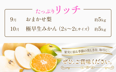 旬の フルーツ 定期便 2ヶ月連続 秀品 計10kg 日本フルーツ株式会社《2026年9月上旬-10月末頃出荷》熊本県 長洲町 おまかせ 梨 極早生みかん 果物 フルーツ スイーツ デザート ギフト 