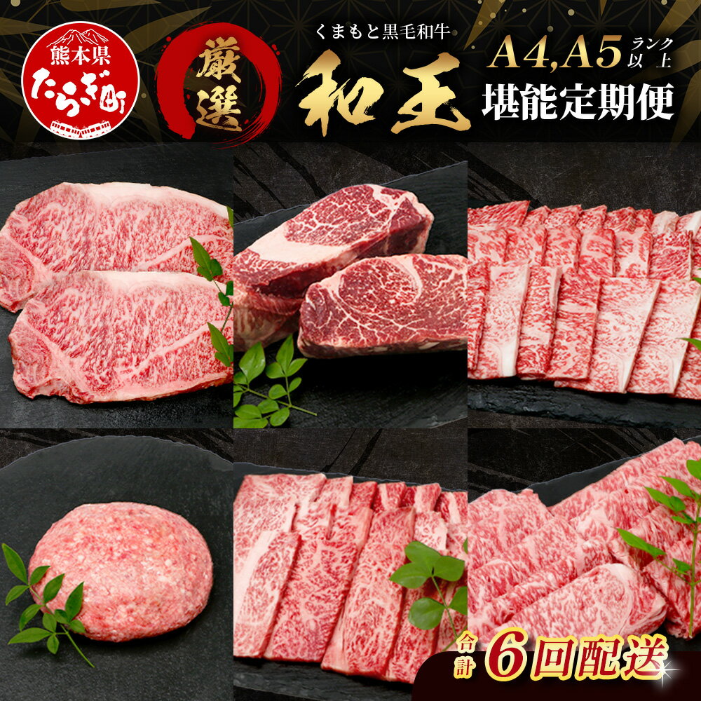 【ふるさと納税】《定期便6回》くまもと 黒毛和牛【 和王 堪能 定期便 】6回配送 ブランド牛 プレミアム 定期便 サーロイン ヒレ ステーキ 最上級 黒毛 和牛 牛肉 国産 A4 A5 熊本県 冷凍 A4 A5 熊本県 送料無料