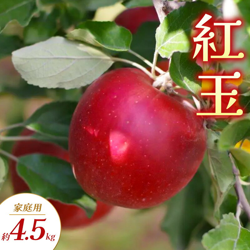 【ふるさと納税】紅玉 家庭用 約4.5kg りんご リンゴ 林檎 果物 フルーツ 長野県 長野 山ノ内町　お届け：2026年9月下旬～10月下旬