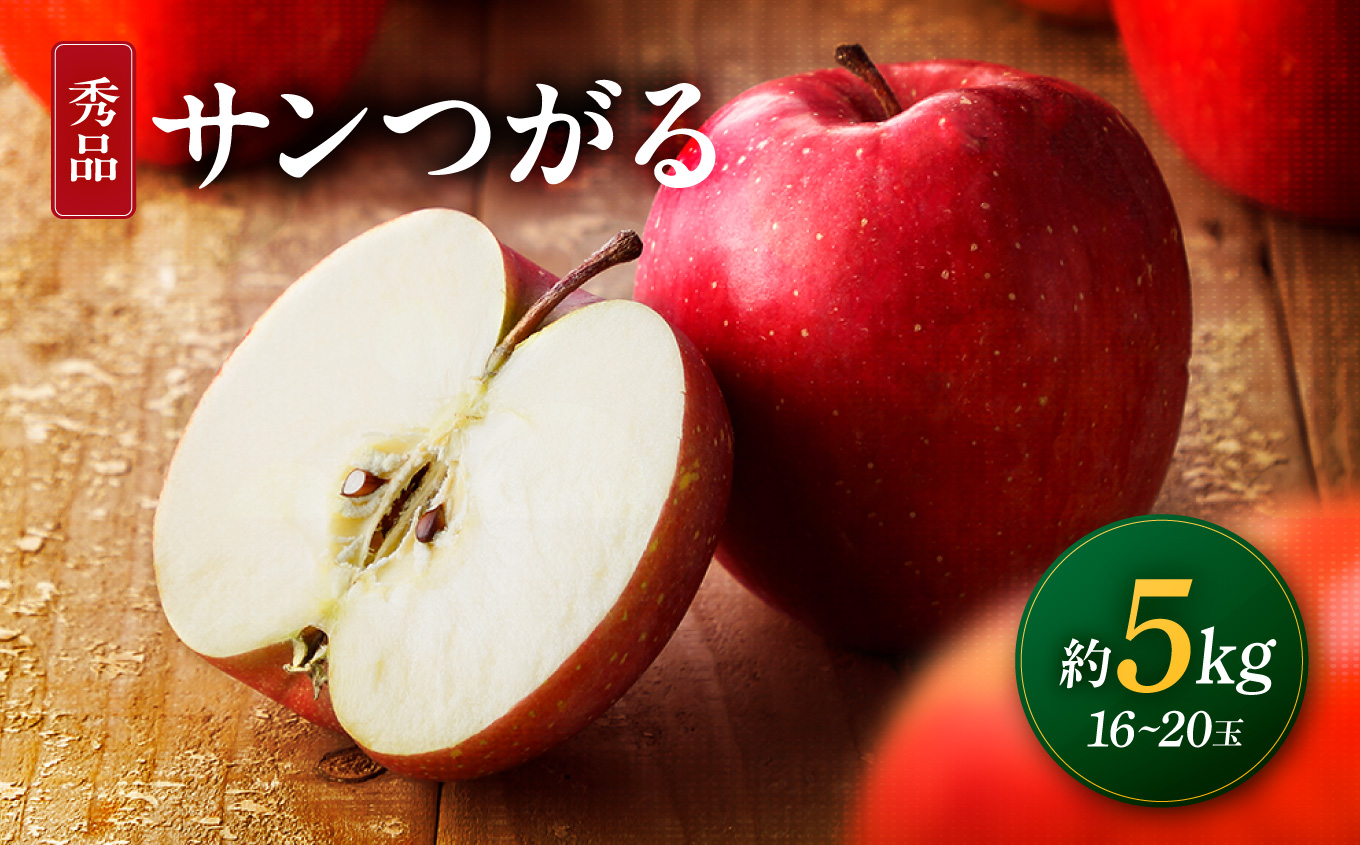【南信州産】サンつがる 約5kg 秀品 <2026年8月下旬～順次発送> ＪＡみなみ信州ＤＭセンター飯田市