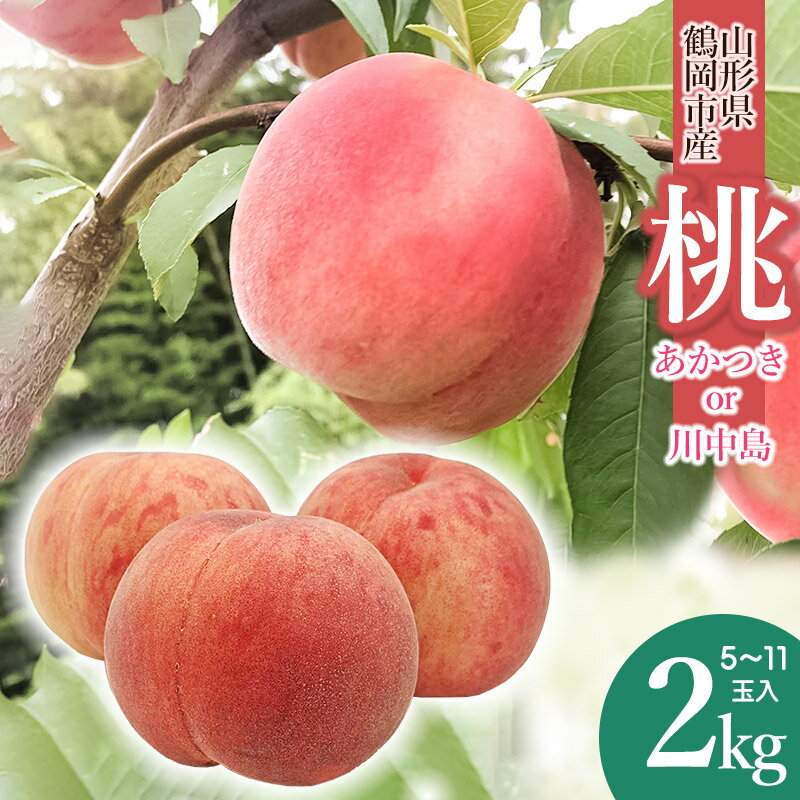 【ふるさと納税】山形県鶴岡市産 桃 約2kg（5〜11玉入）「あかつき」「川中島」どちらか1種をお届け！　もも