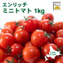 【ふるさと納税】エンリッチミニトマト 1kg ミニトマト お取り寄せ トマト とまと エンリッチ フルーツトマト フルーツミニトマト 野菜 ジュース 健康 栄養 GABA リコピン ふるさと納税 北海道 長万部町 長万部【070006】