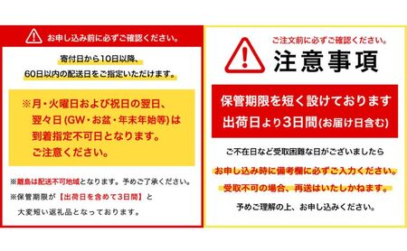 アイスクリーム PARM パルム チョコレート マルチ 6本入×2箱 12本 アイスバー バニラ アイス バニラアイス セット お歳暮 贈答品 ギフト アイス 静岡 裾野市 ※配送不可：離島