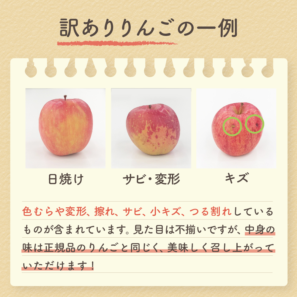【2026年12月下旬発送】【訳あり】りんご 青森産 約5kg サンふじ