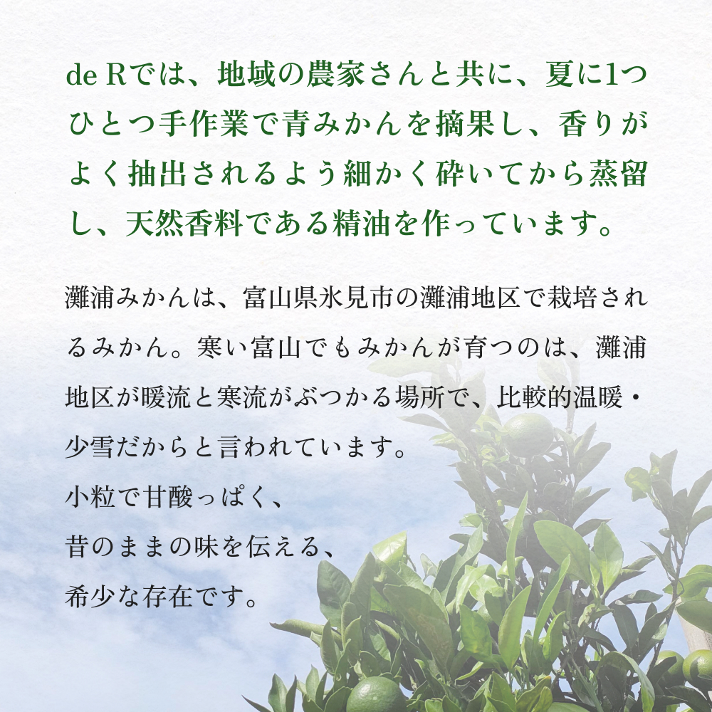de R  灘浦みかん　Hair ＆ Skin Oil 30ml（de R 001オイル 灘浦みかんの香り ヘア＆スキンオイル） 富山県 氷見市 ヘアオイル スキンオイル 美容 みかん 柑橘_イメージ