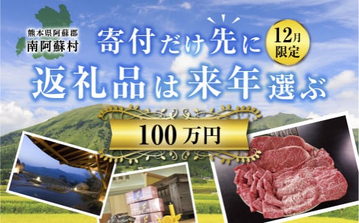 100万円『寄付だけ先に2024→返礼品は来年選ぶ』12月限定。