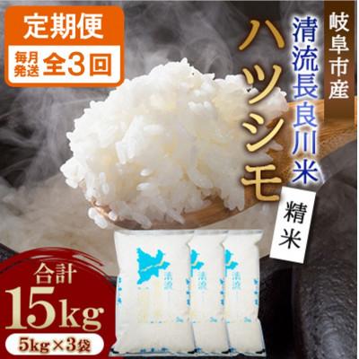ふるさと納税 岐阜市 【毎月定期便】岐阜市産 ハツシモ 清流長良川米 精米 15kg(5kg×3袋)　全3回