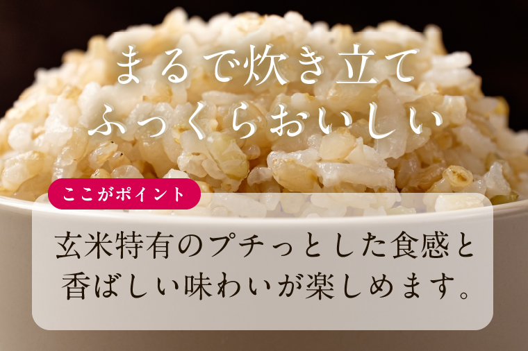 茨城県産コシヒカリ使用 パックごはん(玄米) 160g×18食｜コシヒカリ こしひかり 玄米 パックご飯 パックごはん 備蓄 防災備蓄 簡単 茨城県産 茨城県 行方市 人気 送料無料(HE-6)