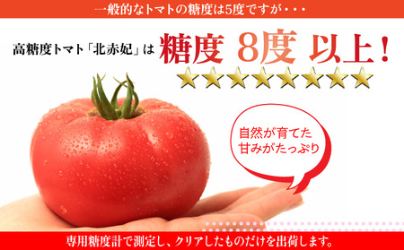 【2025年 発送 】 先行予約 北海道 伊達市 高糖度 トマト 北赤妃 きせき 約1kg  1箱 Mサイズ とまと 新鮮 ジューシー 産地直送