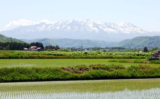 愛別町への寄附 100,000円 （返礼品はありません）