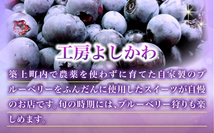 クッキー・リーフパイ13枚詰め合わせセット《築上町》【(有)工房よしかわ】 [ABAK005]