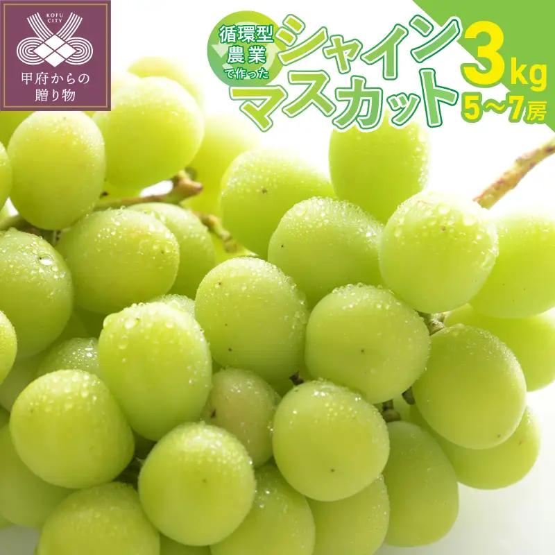 【2026年配送分】甲府市産自然塾のシャインマスカット3kg(5～7房)