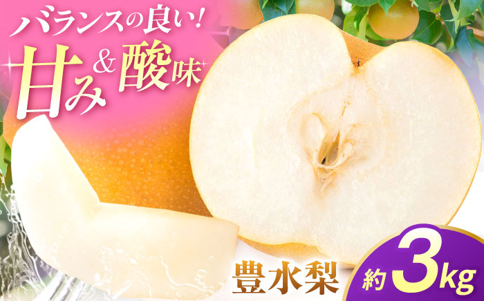 【先行予約】豊水梨　約3kg 梨 ナシ フルーツ 果物 【日本フルーツ株式会社】 [ZFJ060]