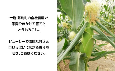 2026年発送先行予約 北海道 十勝 幕別産 とうもろこし 恵味ゴールド 20本「じゅんかん育ち」北王農林［十勝BISTRO下水道プロジェクト］【 とうもろこし とうきび コーン 野菜 フルーツ 甘い