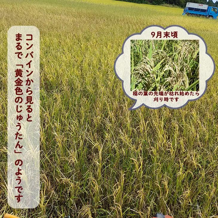 【令和8年産】銀河のしずく 厳選プレミアム　玄米30kg【2234】