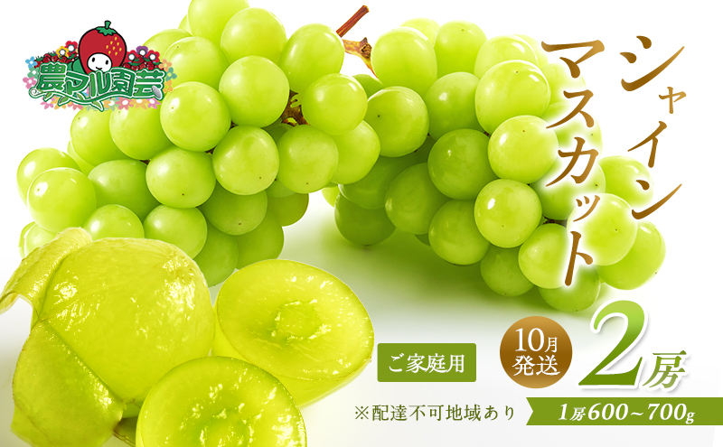 ぶどう 2025年 先行予約 ご家庭用 シャイン マスカット 2房 1房600g～700g 10月発送分 ブドウ 葡萄 フルーツ 果物 岡山 赤磐市産 農マル園芸 あかいわ農園