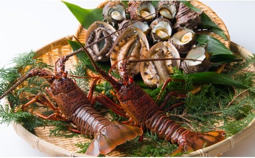 伊勢えび・あわび・さざえ詰め合わせ〈人気魚介類セット BBQ〉エビ 海老 おせち お歳暮 刺身 天然 お祝い 海鮮 魚介 BBQ バーベキュー みそ汁【CC20】