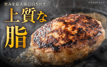 長崎和牛 ハンバーグ 約200g×5個 / 和牛 ハンバーグ はんばーぐ ブランド肉 おかず 惣菜 お弁当 夕食 お肉 冷凍  / 大村市 / まるしん商会[ACCD001]