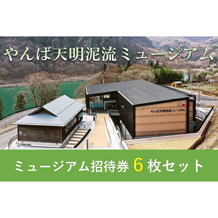 【ふるさと納税】やんば天明泥流ミュージアム　招待券セット(6枚)【入場券 おすすめ 群馬県 長野原町 北軽井沢】 | 予約 旅行 人気 おすすめ チケット 施設利用券 長野原 群馬県