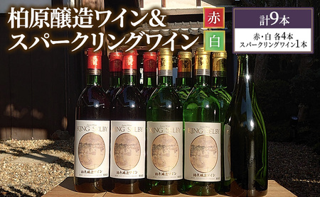 ワインセット 柏原醸造ワイン 赤 白 辛口 スパークリング ワインセット【9本】