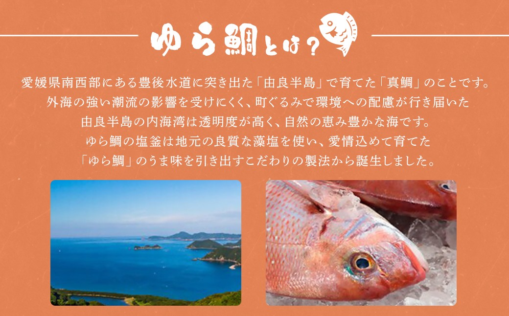 ゆら鯛の塩釜（大）1個 約5.9kg【えひめの町（超）推し！（愛南町）】(295)