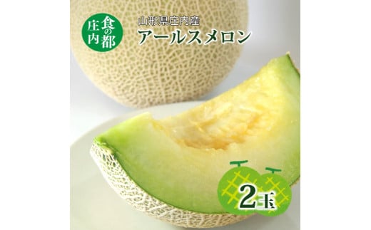【先行予約】食の都庄内【令和7年産】アールスメロン2玉※令和7年8月中旬頃より発送予定