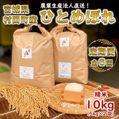 【毎月定期便】【数量限定】宮城県村田町産ひとめぼれ 精米 10kg(5kg×2袋)全6回