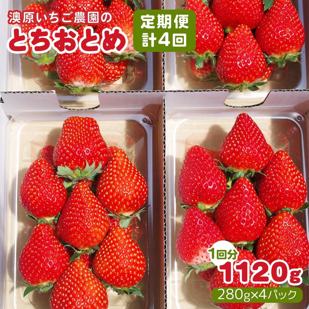 【ふるさと納税】[先行予約] [4ヶ月連続定期便]澳原いちご農園のとちおとめ定期便 1120g (毎月お届け 計4回)｜いちご イチゴ 苺 フルーツ 果物 産地直送 栃木県産 先行予約