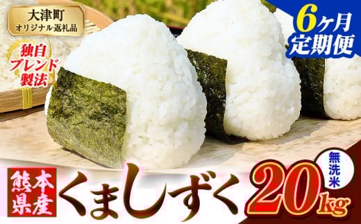 【6ヶ月定期便】無洗米 熊本県産 ブレンド米 くましずく 20kg 熊本県産 ふるさと納税 無洗米 精米 米 こめ ふるさとのうぜい コメ お米 おこめ《お申込月の翌月から出荷開始》