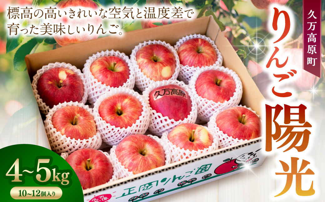 
            りんご陽光中箱（4～5kg） 10～12個入り りんご リンゴ 林檎 くだもの 果物 フルーツ 愛媛県 【えひめの町（超）推し！（久万高原町）】【2025年10月上旬～10月下旬発送予定】（530-1）
          