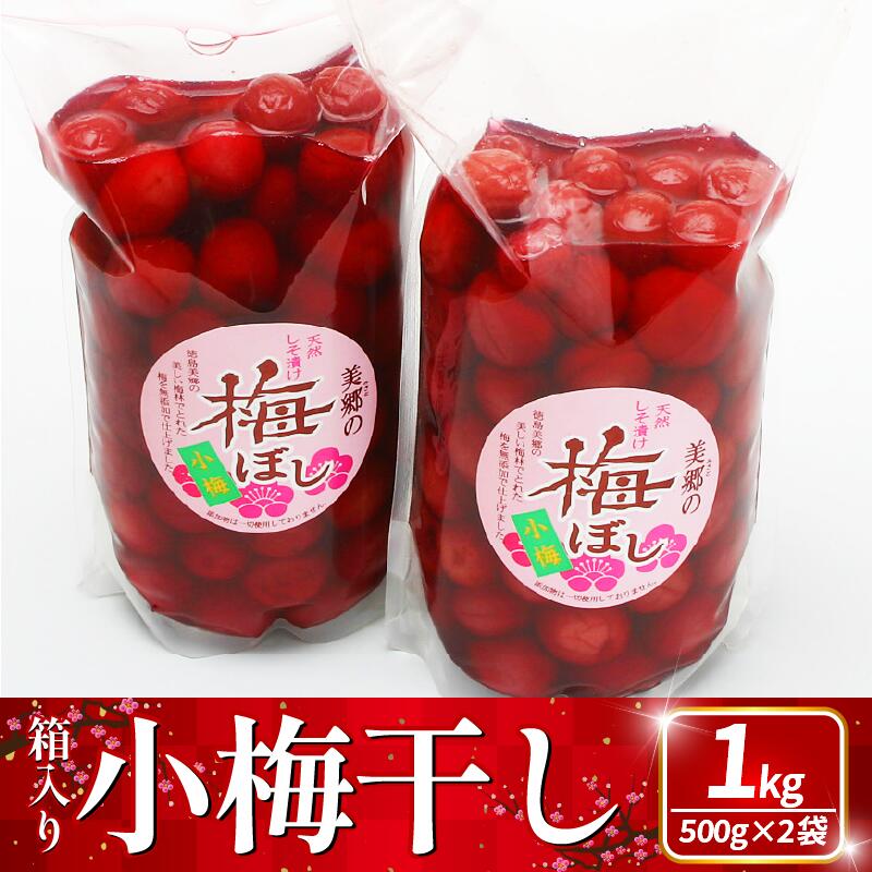 【ふるさと納税】 梅干し 1kg (500g×2) 梅 うめ 果物 フルーツ しそ 塩 おつまみ おかず 弁当 惣菜 朝食 漬物 ビール ハイボール 焼酎 果実酒 ギフト プレゼント 贈答 送料無料 先行予約 2025年 11月 から 発送予定 徳島県 吉野川市