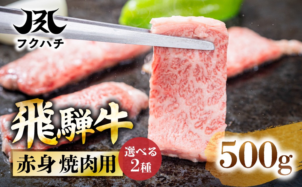 
                  【訳あり】飛騨牛焼肉用ロース・肩ロース 500g 牛肉 肉  飛騨牛牛肉 飛騨牛ロース 飛騨牛焼肉 飛騨牛 ロース牛肉 ロース焼肉 ロース スライス 牛肉 スライス 焼き肉 スライス やきにく BBQ 牛肉 バーベキュー 牛肉 ロース ロース肉 ローススライス やきにく 焼き肉 郡上市 フクハチ 牛肉  肉 赤身   バーベキュー BBQ 和牛 ごちそう 人気 おすすめ 冷凍 国産 切り落とし
                