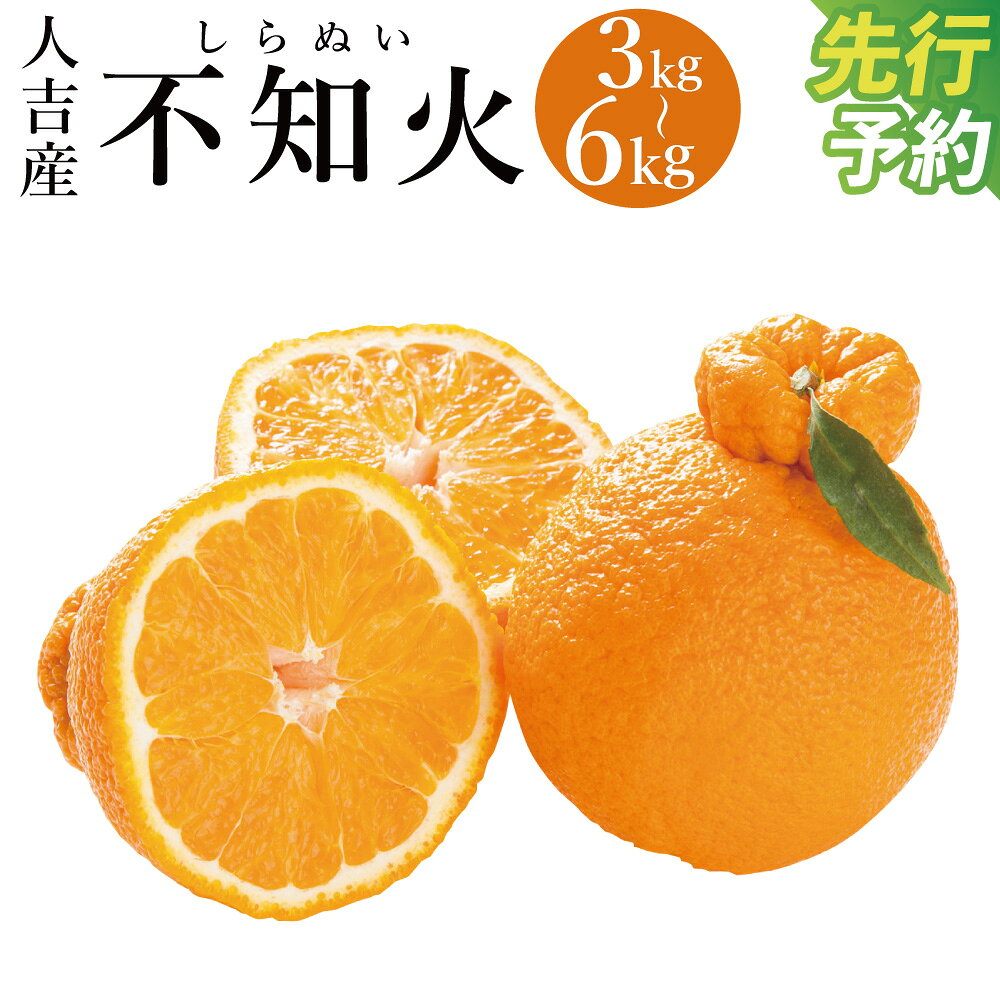 【ふるさと納税】【先行予約】人吉産 不知火 しらぬい 約3kg ／ 約6kg 選べる内容量 11000円 〜 22000円 1万1000円 〜 2万2000円 柑橘類 熊本 果物 フルーツ 送料無料 【2027年1月上旬～2月上旬発送予定】
