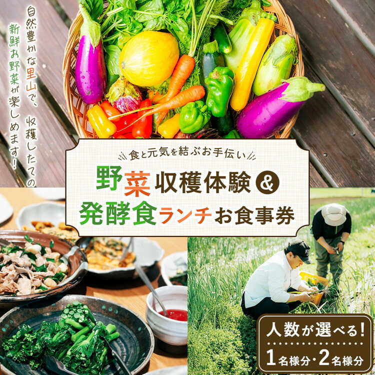 【ふるさと納税】【選べる人数】＼食と元気を結ぶお手伝い／農村レストラン 飛火鞍 収穫体験＆発酵食ランチのお食事チケット 1名様分 ペア | 野菜 やさい 収穫体験 ランチ 発酵食 体験 お食事券 農業体験 那須町 栃木県