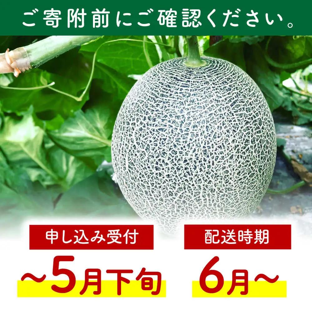 先行予約 肥後グリーンメロン約2kg(1玉)ZEM005