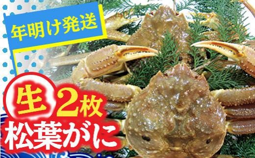 松葉ガニ（生なま）2枚【年明け配送】※着日指定不可※北海道、沖縄、一部離島への配送不可【松葉がに 松葉蟹 ズワイガニ 蟹 カニ かに 国産 人気 おすすめ 鳥取県 琴浦町 送料無料】