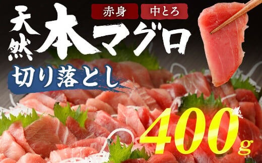 
										
										tk024【遠洋漁船高豊丸漁獲】天然本マグロ（赤身・中とろ）切落し４００ｇ _ 冷凍 お手軽 切り落とし 中トロ 赤身 セット 高知 室戸
									