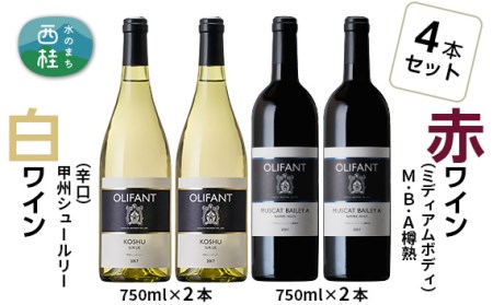 No.150 笹一酒造OLIFANT【赤・白】 750ml×4本【n0150_sas】
