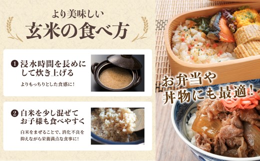 新米予約 令和8年産【特A 減農薬】 玄米 特別栽培米こしひかり 10kg〈5kg x 2袋〉   お米 コシヒカリ 丹波篠山産 コメ こめ お米 こしひかり げんまい ゲンマイ