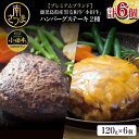 【ふるさと納税】【プレミアムブランド】鹿児島県産黒毛和牛「小田牛」 牛肉100％ 2種類のハンバーグステーキ 計6個（120g×各3個）チーズハンバーグ 牛肉 総菜 おかず レトルト 黒毛和牛 和牛日本一 小田畜産 冷凍 ギフト 贈答 南さつま市 送料無料