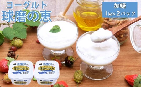 ヨーグルト 球磨の恵ヨーグルト 加糖 ヨーグルト【1kg×2パック】