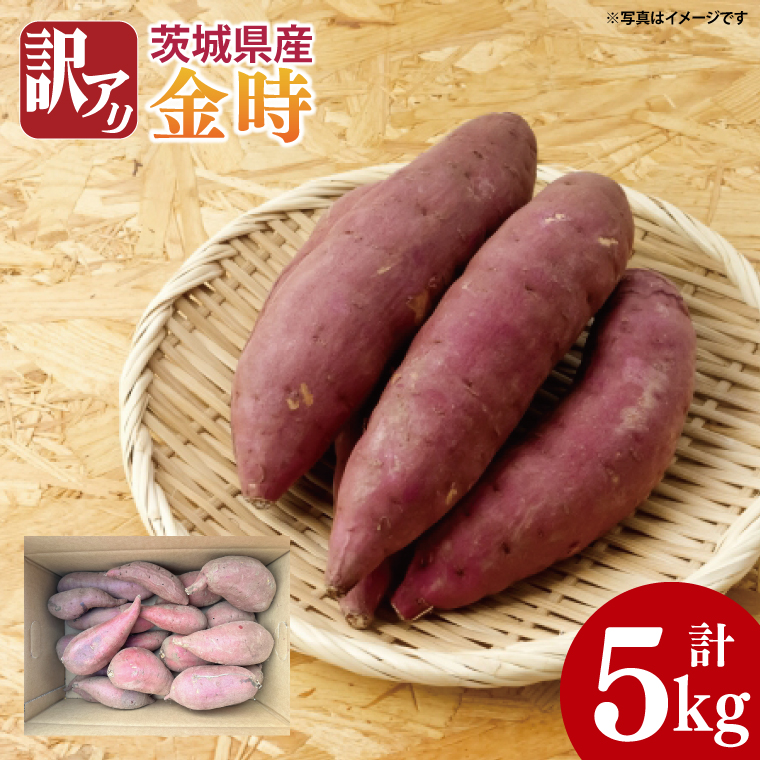 【2025年11月より順次発送】【数量限定】訳アリ 茨城県産金時 約5kg｜さつまいも 芋 サツマイモ 金時 訳あり わけあり 先行予約 茨城県 取手市（AS010）