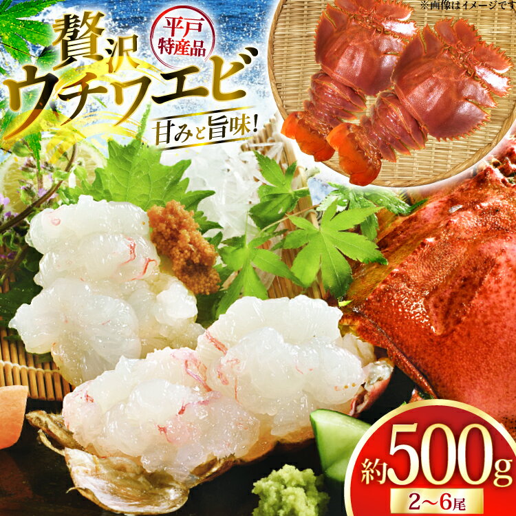 【ふるさと納税】エビ 海鮮 刺身 平戸 ウチワエビ 2〜6尾 500g [平戸さくら水産 長崎県 平戸市 hr42bgy420360] 海老 えび 魚介 冷凍