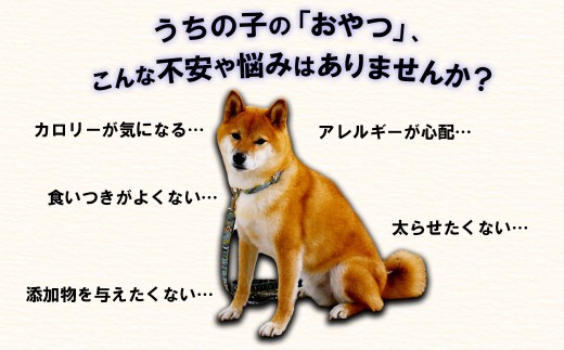 【定期便2回】ペットフード 馬肉 《2kg×2回》犬 おやつ 馬肉 赤身 切り落とし ドッグフード 無添加 高たんぱく 低カロリー ご褒美 ヘルシー 大容量 冷凍 熊本県 水上村