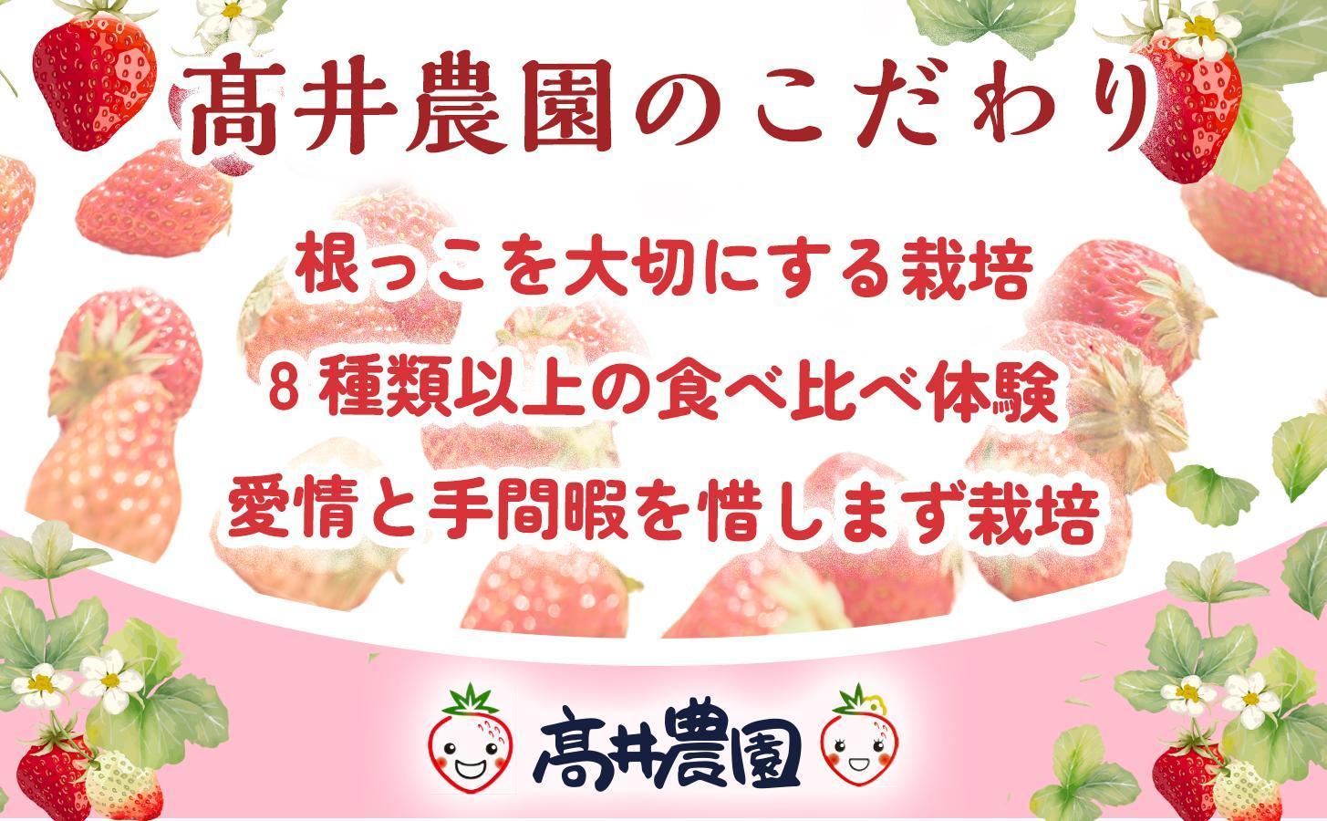 【定期便2回】【爽やかな甘酸っぱさ】完熟いちごシャーベット 10個 いちご シャーベット スイーツ 果物 フルーツ 大粒 濃厚 産地直送  ギフト 贈答用 兵庫県 福崎町 10個 2回お届け