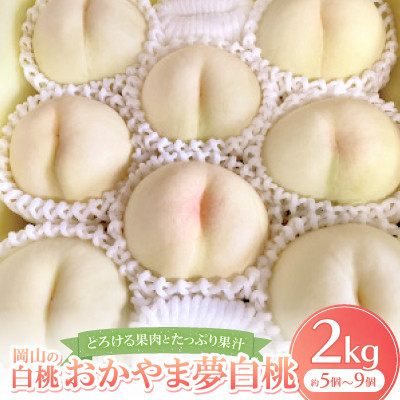 【先行予約・2026年8月上旬より発送予定】岡山の白桃・おかやま夢白桃(2kg箱)【配送不可地域：離島】