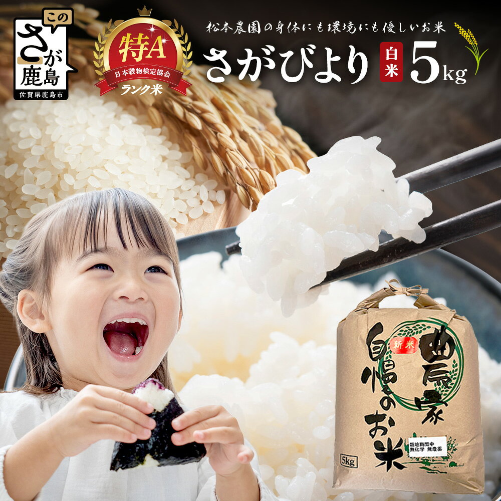 【ふるさと納税】先行受付 《新米》令和8年産 さがびより 5kg【身体に優しい手作り土壌のさがびより】佐賀県産 特A評価獲得品種 新米 こめ 米 おこめ 白米5kg 佐賀県 鹿島市 送料無料 C-203