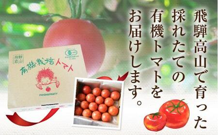 【2024年夏 先行予約】（7月中旬から順次発送予定）飛騨高山産 有機栽培トマト「彩りトマト」 3kg ミディトマト ミニトマト 詰合せ ミックス 樹熟 5種類以上 食べ比べ 野菜 山藏農園 飛騨高山