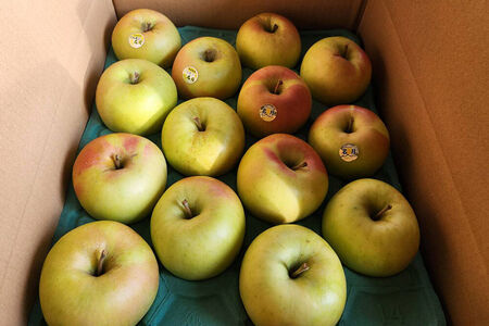 りんご 名月 約3kg 贈答用 ちとせ村